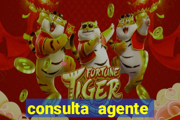 consulta agente autuador sp